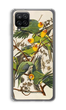 Carolina Parrot