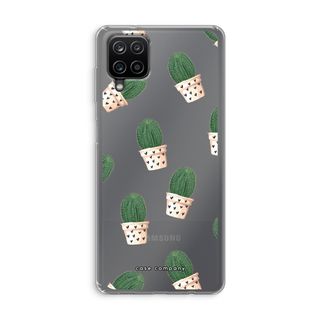 Cactus rosa