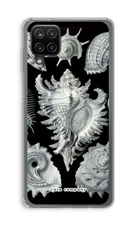 Haeckel Prosobranchia