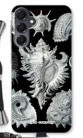 Haeckel Prosobranchia