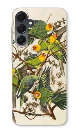 Carolina Parrot