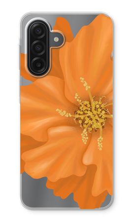 Orange Ellila flower