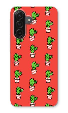 Mini cactus