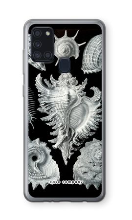 Haeckel Prosobranchia