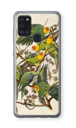 Carolina Parrot