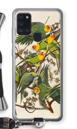 Carolina Parrot