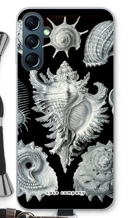 Haeckel Prosobranchia