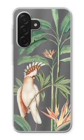 Pappagallo tropicale