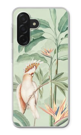 Pappagallo tropicale