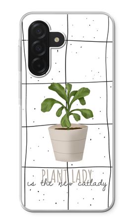 Houseplant on windowpane