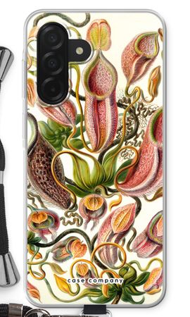 Haeckel Nepenthaceae