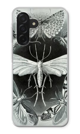 Haeckel Tineida