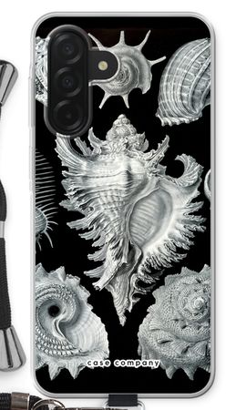 Haeckel Prosobranchia