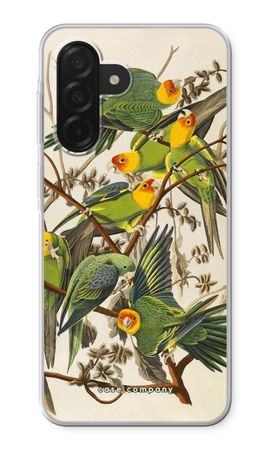 Carolina Parrot