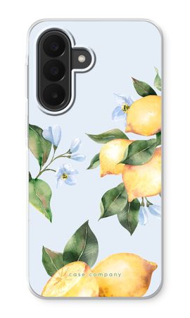 Orchard Sun