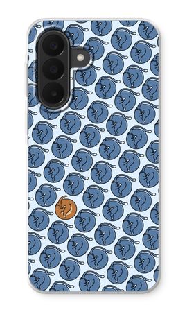 Cats and dog