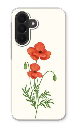Red poppy