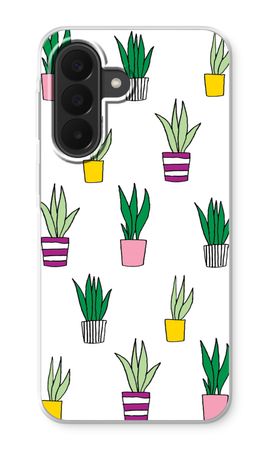 Sanseveria