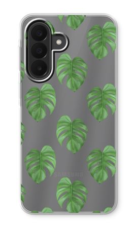 Monstera leaves