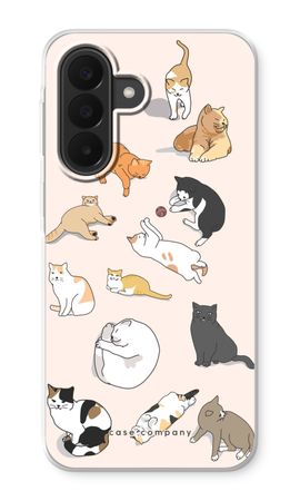 Cats