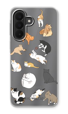 Cats