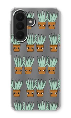 Sansevieria