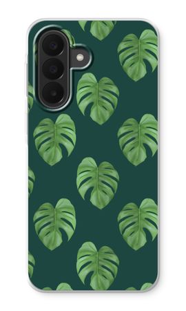 Monstera leaves