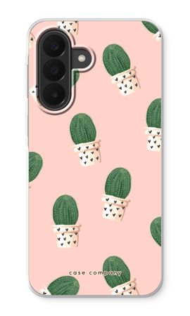 Cactus in Rosa