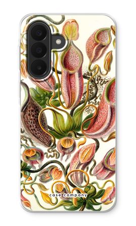 Haeckel Nepenthaceae