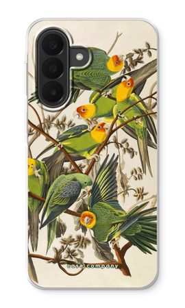 Carolina Parrot