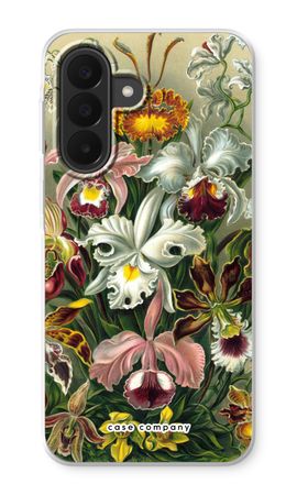 Haeckel Orchidae