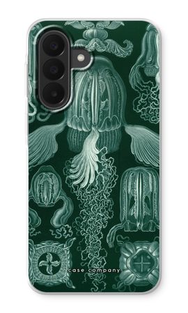 Haeckel Cubomedusae