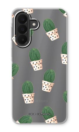 Cactus in Rosa