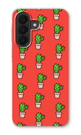 Mini cactus