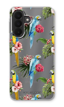 Colourful parrots