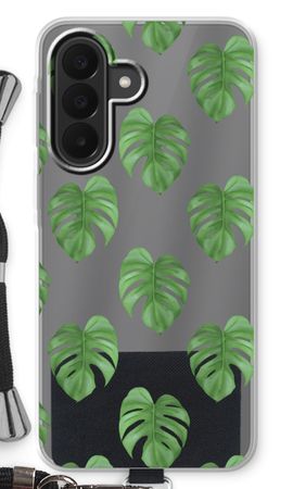 Monstera leaves
