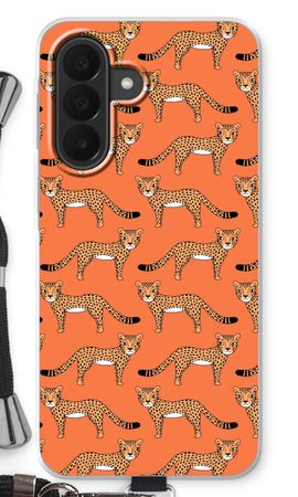 Cheetah