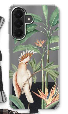 Tropical Parrot