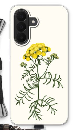 Tansy
