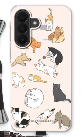 Cats
