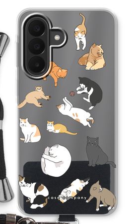 Cats