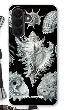 Haeckel Prosobranchia