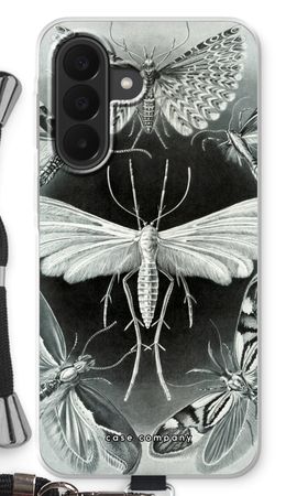Haeckel Tineida