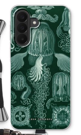 Haeckel Cubomedusae