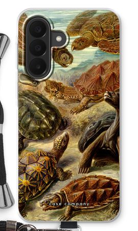 Haeckel Chelonia