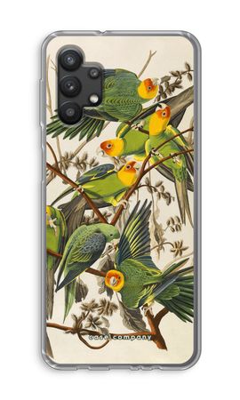 Carolina Parrot