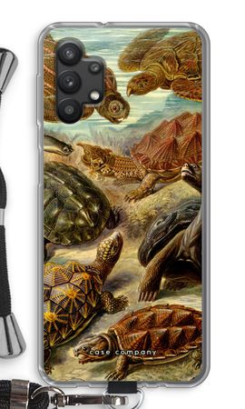 Haeckel Chelonia