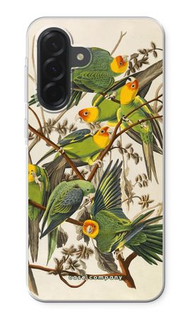 Carolina Parrot