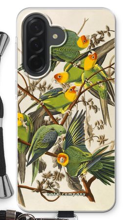 Carolina Parrot