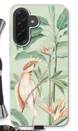 Tropical Parrot